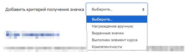 Критерии выдачи значка